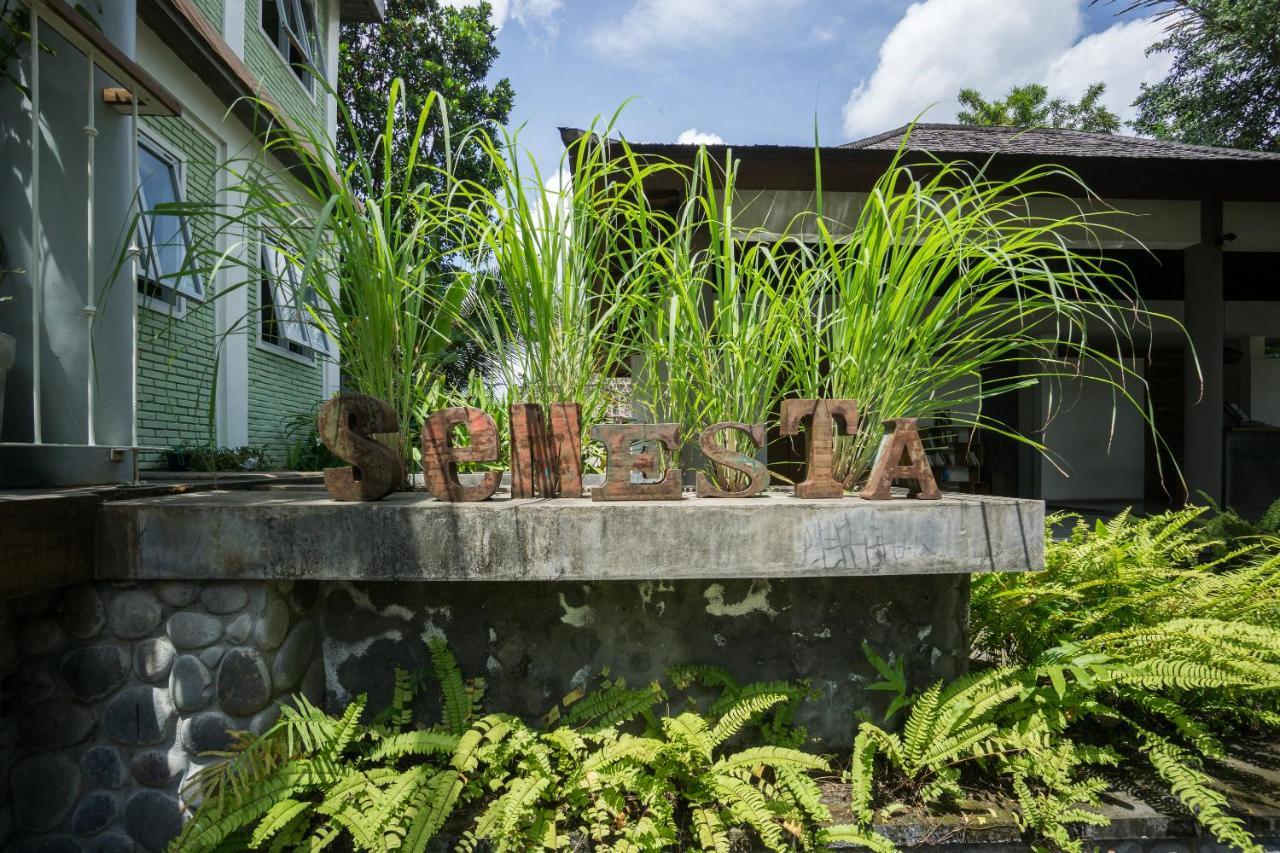 Tegal Sari Accommodation Ubud Exteriér fotografie